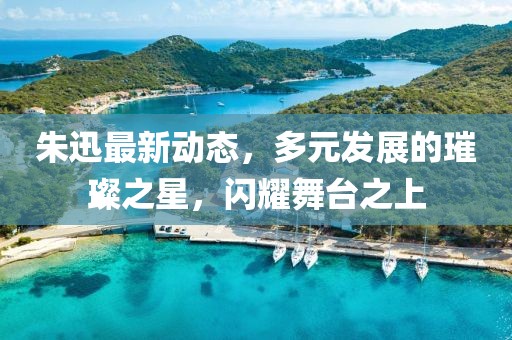 朱迅最新動(dòng)態(tài)，多元發(fā)展的璀璨之星，閃耀舞臺(tái)之上