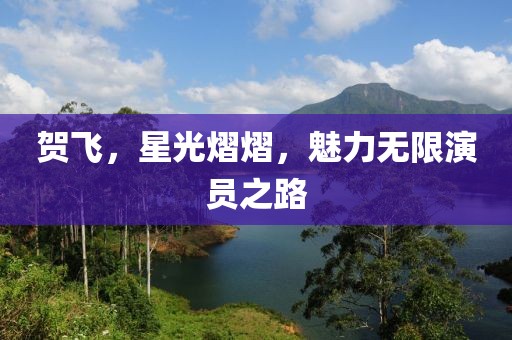 賀飛，星光熠熠，魅力無限演員之路