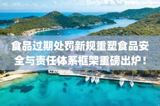 食品過期處罰新規(guī)重塑食品安全與責(zé)任體系框架重磅出爐！