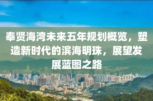 奉賢海灣未來(lái)五年規(guī)劃概覽，塑造新時(shí)代的濱海明珠，展望發(fā)展藍(lán)圖之路
