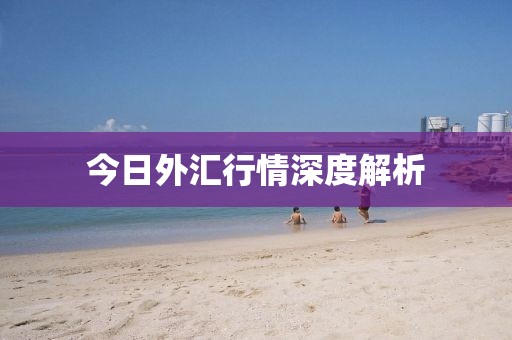 今日外匯行情深度解析