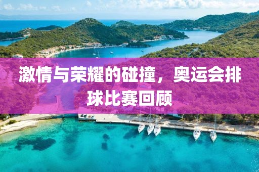 激情與榮耀的碰撞，奧運會排球比賽回顧