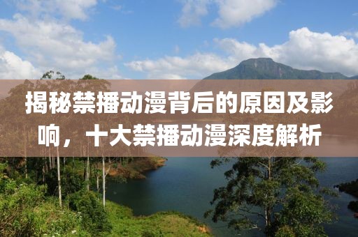 揭秘禁播動(dòng)漫背后的原因及影響，十大禁播動(dòng)漫深度解析