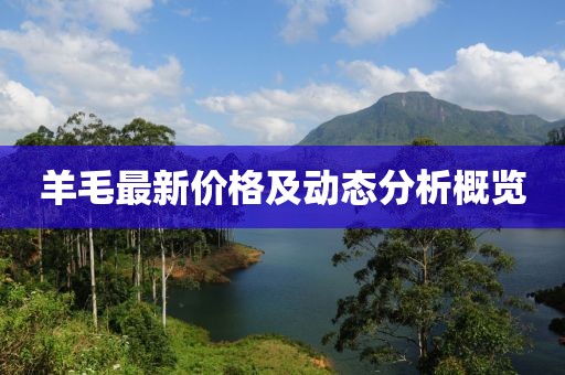羊毛最新價格及動態(tài)分析概覽