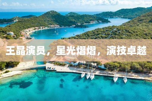 王晶演員，星光熠熠，演技卓越