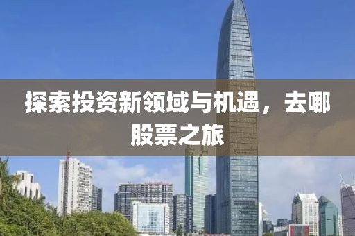 探索投資新領(lǐng)域與機(jī)遇，去哪股票之旅