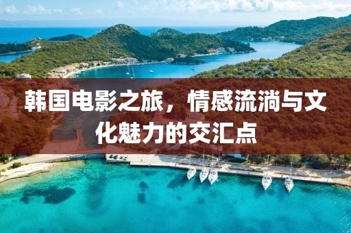 韓國電影之旅，情感流淌與文化魅力的交匯點