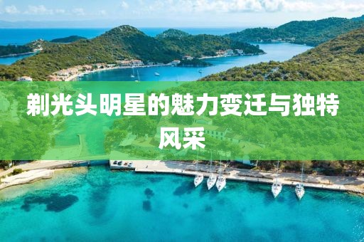 剃光頭明星的魅力變遷與獨特風采