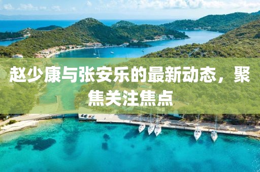 趙少康與張安樂(lè)的最新動(dòng)態(tài)，聚焦關(guān)注焦點(diǎn)