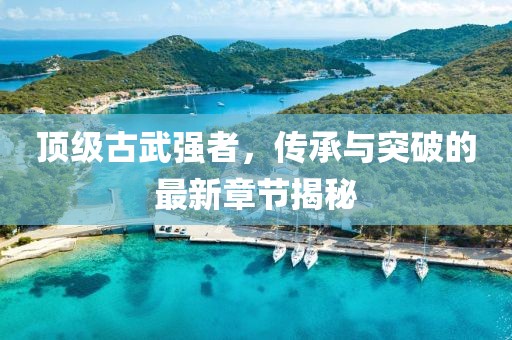 頂級(jí)古武強(qiáng)者，傳承與突破的最新章節(jié)揭秘