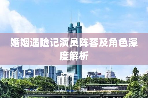 婚姻遇險(xiǎn)記演員陣容及角色深度解析