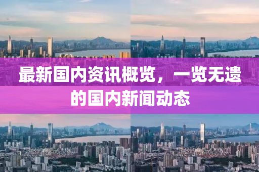最新國內(nèi)資訊概覽，一覽無遺的國內(nèi)新聞動態(tài)