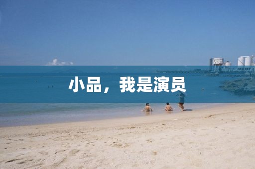 小品，我是演員