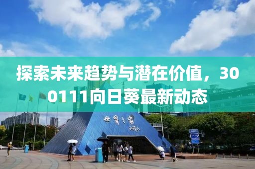 探索未來趨勢與潛在價(jià)值，300111向日葵最新動態(tài)