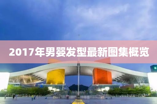 2017年男嬰發(fā)型最新圖集概覽