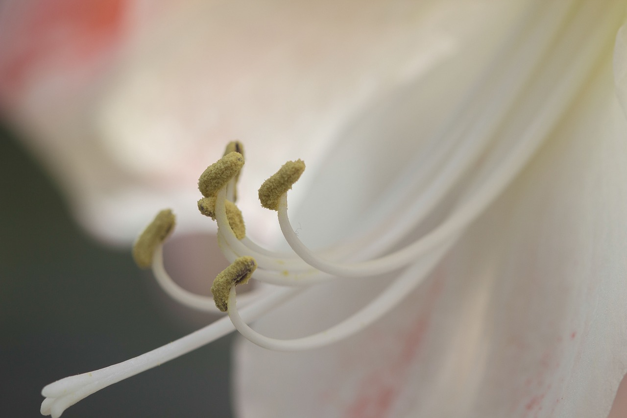 情感深處糾葛與變化的探索，入骨纏最新解析