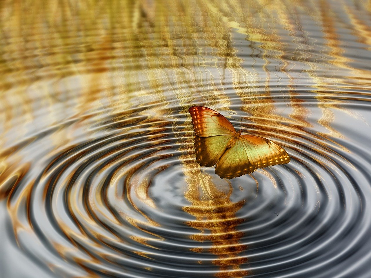 星光照亮夢想之路，追尋人生新篇章的旅程