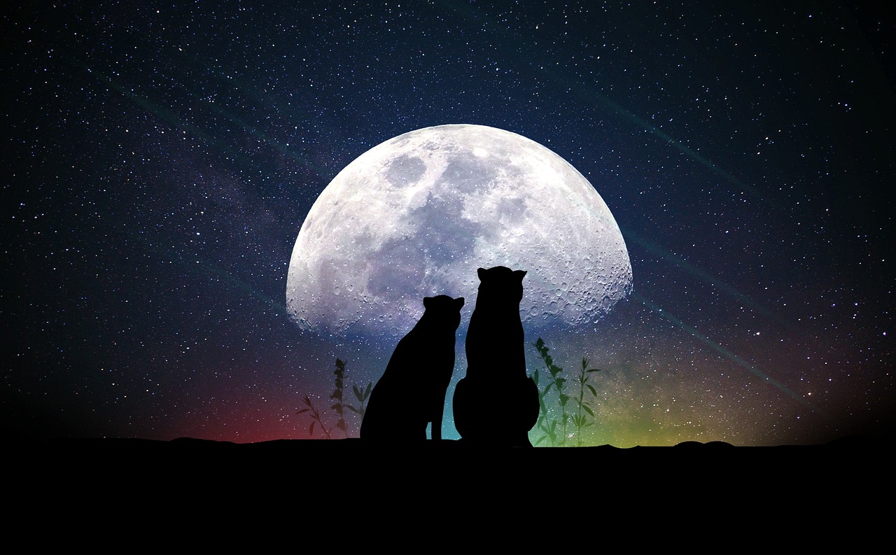 深夜情感與奇幻世界的探索，熱戀動漫