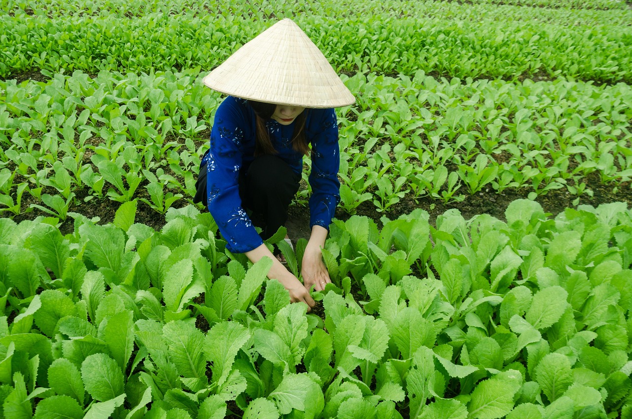 金聯(lián)儲(chǔ)最新消息解讀，發(fā)展動(dòng)態(tài)、行業(yè)展望一網(wǎng)打盡