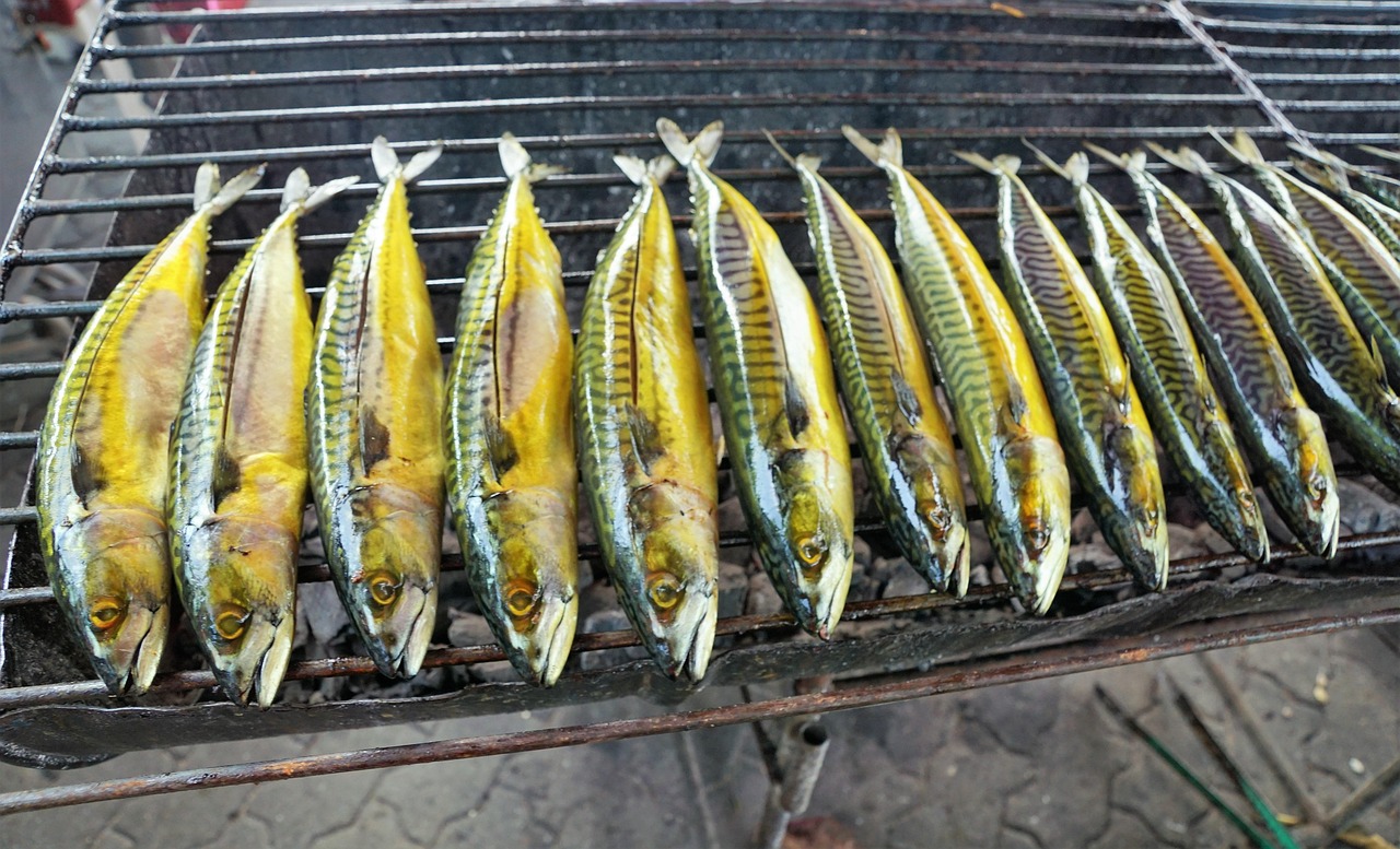 漯河雙匯最新動態(tài)，先鋒力量引領(lǐng)食品行業(yè)創(chuàng)新發(fā)展