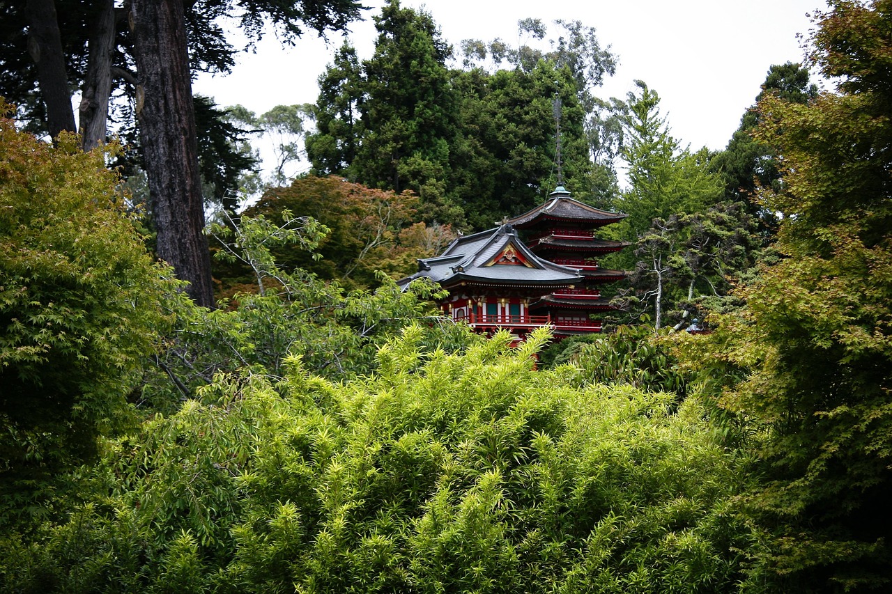 中日沖突最新動態(tài)，復(fù)雜局勢下的挑戰(zhàn)與應(yīng)對策略