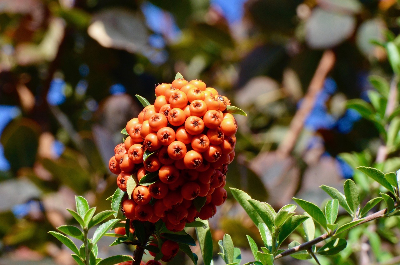 綠豆紅豆，人性掙扎與成長的深刻展現(xiàn)