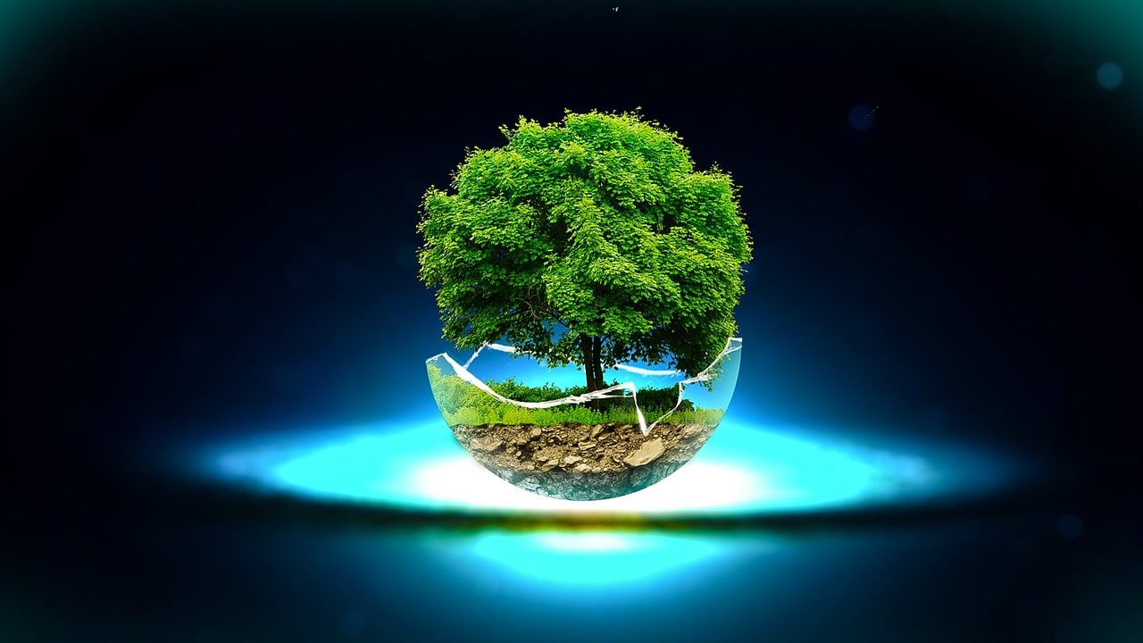 深圳啟明星，璀璨之星照亮未來之路