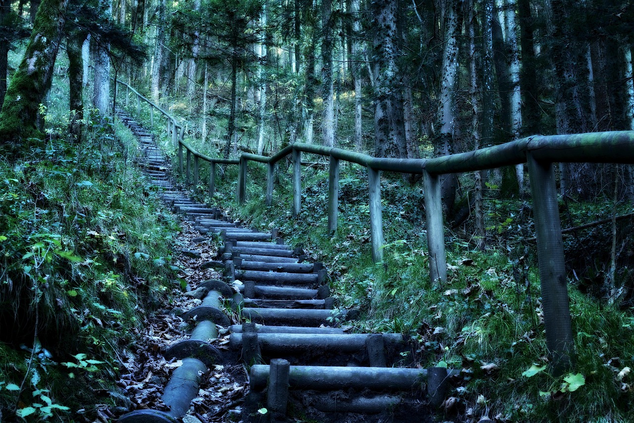 重溫經(jīng)典熊出沒(méi)，森林冒險(xiǎn)之旅電影下載